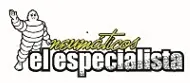 Neumáticos El Especialista